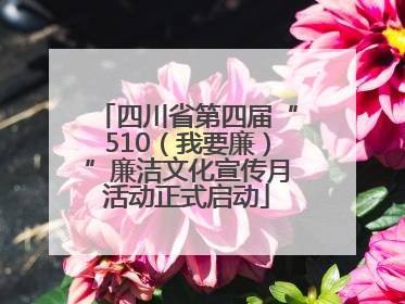 四川省第四届“510（我要廉）”廉洁文化宣传月活动正式启动