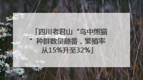 四川老君山“鸟中熊猫”种群数量翻番，繁殖率从15%升至32%