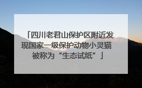 四川老君山保护区附近发现国家一级保护动物小灵猫 被称为“生态试纸”