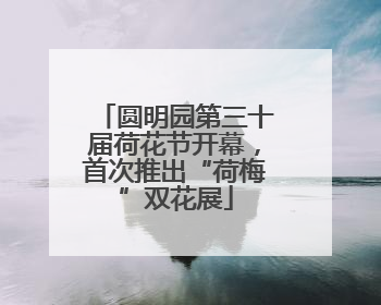 圆明园第三十届荷花节开幕，首次推出“荷梅”双花展