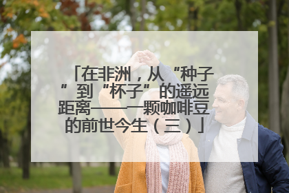 在非洲，从“种子”到“杯子”的遥远距离——一颗咖啡豆的前世今生（三）