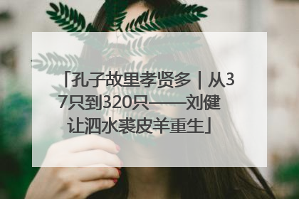 孔子故里孝贤多｜从37只到320只——刘健让泗水裘皮羊重生