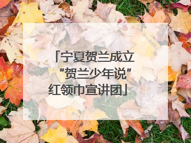 宁夏贺兰成立“贺兰少年说”红领巾宣讲团