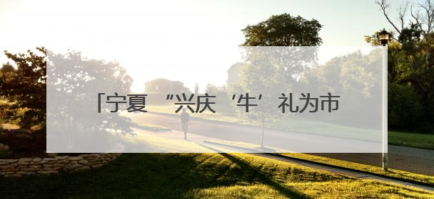 宁夏 “兴庆‘牛’礼为市民奶瓶子”增添更多选择