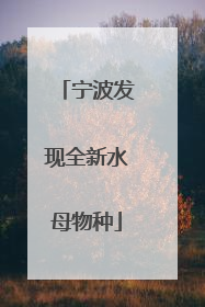 宁波发现全新水母物种