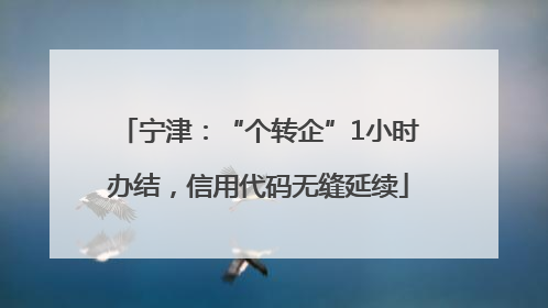 宁津：“个转企”1小时办结，信用代码无缝延续