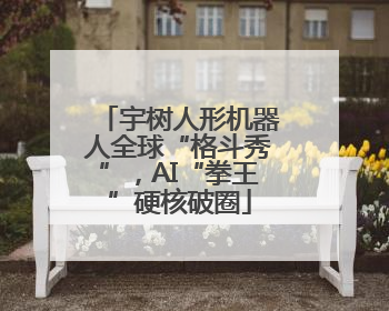 宇树人形机器人全球“格斗秀”，AI“拳王”硬核破圈