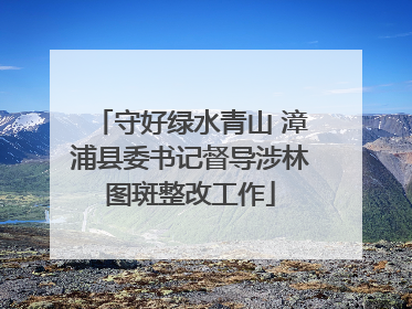 守好绿水青山 漳浦县委书记督导涉林图斑整改工作