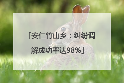 安仁竹山乡：纠纷调解成功率达98%