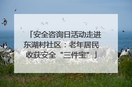 安全咨询日活动走进东湖村社区：老年居民收获安全“三件宝”