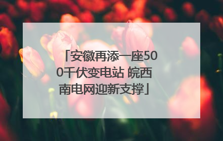 安徽再添一座500千伏变电站 皖西南电网迎新支撑