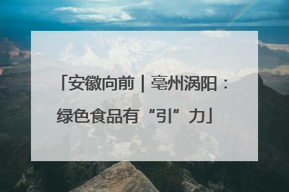 安徽向前｜亳州涡阳：绿色食品有“引”力
