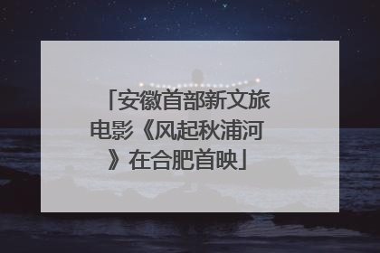 安徽首部新文旅电影《风起秋浦河》在合肥首映