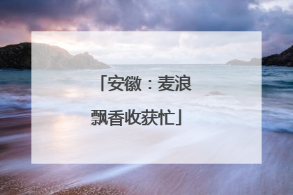 安徽：麦浪飘香收获忙