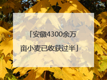 安徽4300余万亩小麦已收获过半