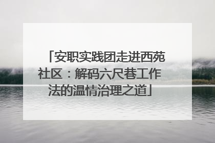 安职实践团走进西苑社区：解码六尺巷工作法的温情治理之道