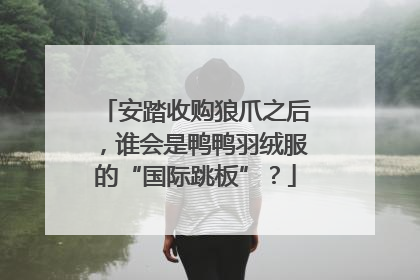 安踏收购狼爪之后，谁会是鸭鸭羽绒服的“国际跳板”？
