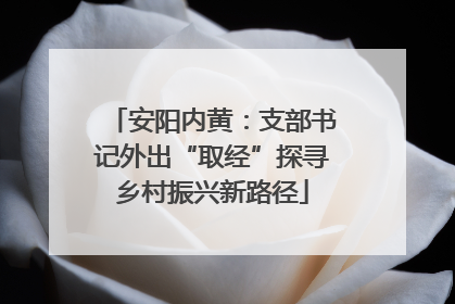 安阳内黄：支部书记外出“取经”探寻乡村振兴新路径