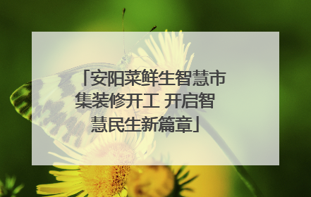 安阳菜鲜生智慧市集装修开工 开启智慧民生新篇章