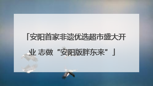 安阳首家非遗优选超市盛大开业 志做“安阳版胖东来”