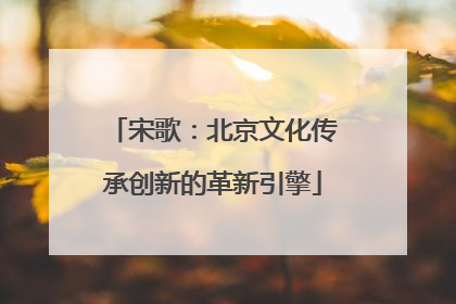 宋歌：北京文化传承创新的革新引擎