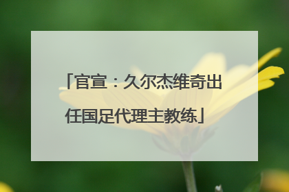 官宣：久尔杰维奇出任国足代理主教练