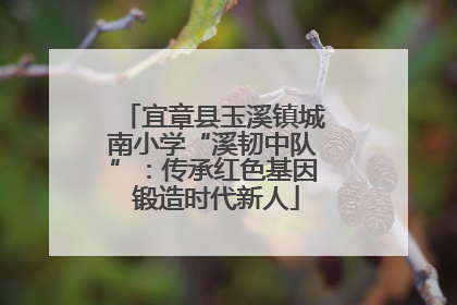 宜章县玉溪镇城南小学“溪韧中队”：传承红色基因 锻造时代新人
