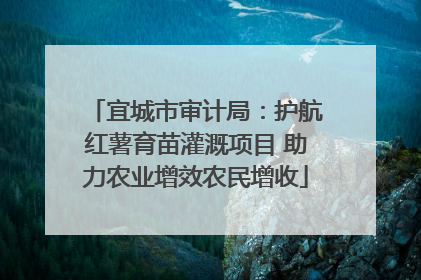 宜城市审计局：护航红薯育苗灌溉项目 助力农业增效农民增收