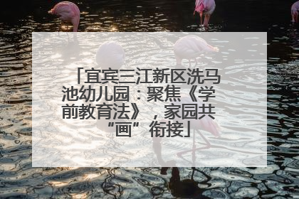宜宾三江新区洗马池幼儿园：聚焦《学前教育法》，家园共“画”衔接