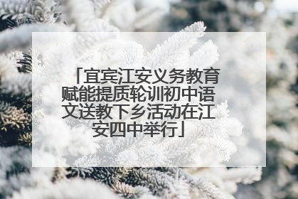 宜宾江安义务教育赋能提质轮训初中语文送教下乡活动在江安四中举行