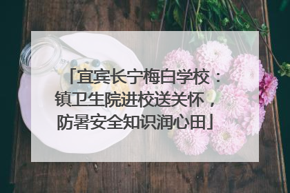 宜宾长宁梅白学校：镇卫生院进校送关怀，防暑安全知识润心田