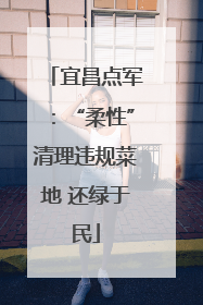 宜昌点军：“柔性”清理违规菜地 还绿于民