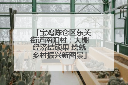 宝鸡陈仓区东关街道南阳村：大棚经济结硕果 绘就乡村振兴新图景