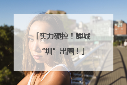 实力硬控！鲤城“圳”出圈！