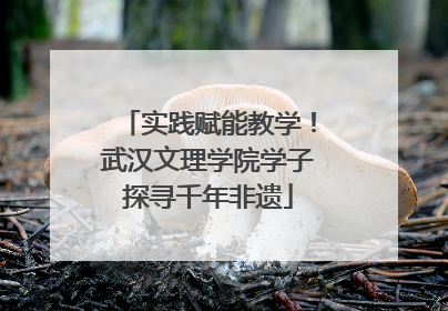 实践赋能教学！武汉文理学院学子探寻千年非遗