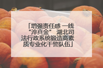 增强责任感 一线“淬真金” 湖北司法行政系统锻造高素质专业化干警队伍