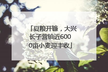 夏粮开镰，大兴长子营镇近6000亩小麦迎丰收