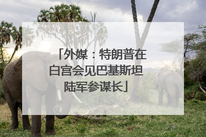 外媒：特朗普在白宫会见巴基斯坦陆军参谋长