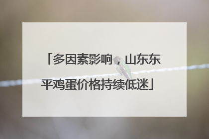 多因素影响，山东东平鸡蛋价格持续低迷
