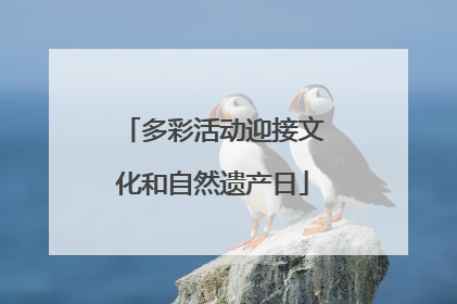 多彩活动迎接文化和自然遗产日