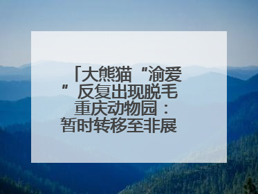 大熊猫“渝爱”反复出现脱毛 重庆动物园：暂时转移至非展示区静养治疗