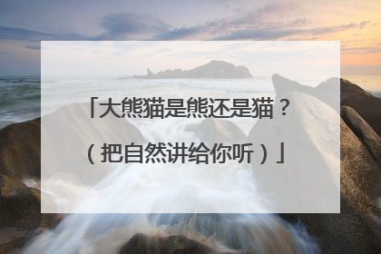 大熊猫是熊还是猫？（把自然讲给你听）