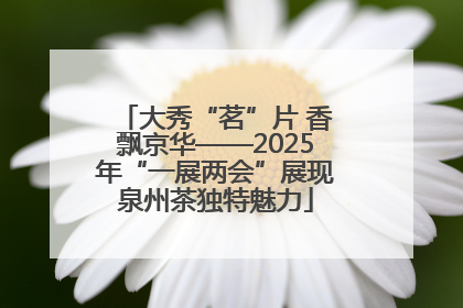 大秀“茗”片 香飘京华——2025年“一展两会”展现泉州茶独特魅力