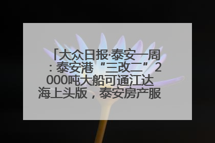 大众日报·泰安一周：泰安港“三改二”2000吨大船可通江达海上头版，泰安房产服务改革经验全省推广