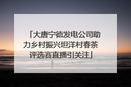 大唐宁德发电公司助力乡村振兴坦洋村春茶评选赛直播引关注