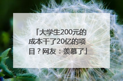 大学生200元的成本干了20亿的项目？网友：羡慕了