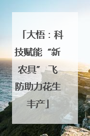 大悟：科技赋能“新农具” 飞防助力花生丰产