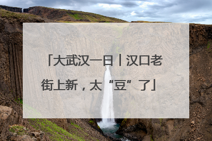 大武汉一日︱汉口老街上新，太“豆”了