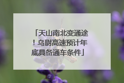 天山南北变通途！乌尉高速预计年底具备通车条件