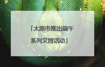 太原市推出端午系列文博活动